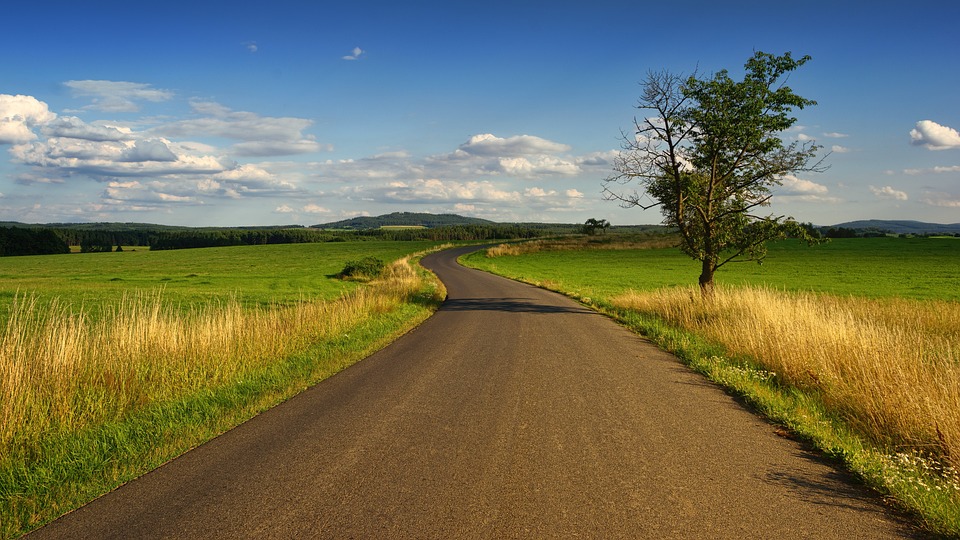 Straße durch eine Landschaft mit Wiesen und Wäldern