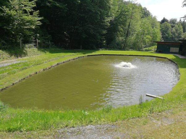 Teich in Kocheregg