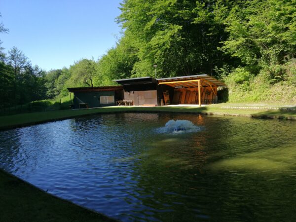 Fischteich in Kocheregg mit Gebäuden