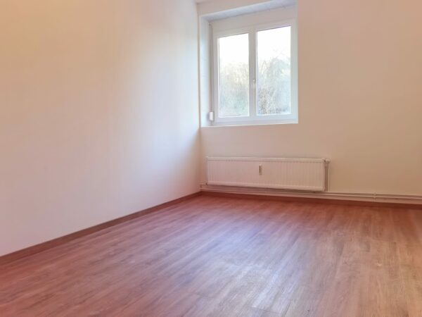 IMG-20230131-WA0001