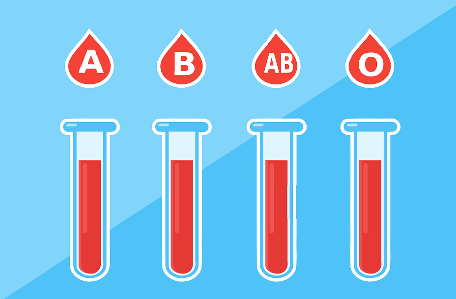 Blutgruppen Übersicht